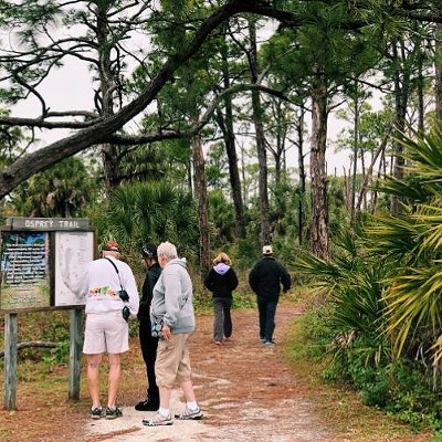 Osprey Trail at Honeymoon Island     #1 Causeway Blvd., Dunedin    Take a stroll through roughly 2.5 miles of a slash pine trail at Honeymoon Island&#146;s Osprey Trail. The park is open daily from 8 a.m. until sunset. If you&#146;re in a car with up to 7 other friends, admission will set you back $8. Alternatively, you only have to pay $4 if you drive there by yourself, or $2 if you walk or bike to the park. Other than ospreys, visitors might come across gopher tortoises and armadillos.        Photo via Honeymoon Island website