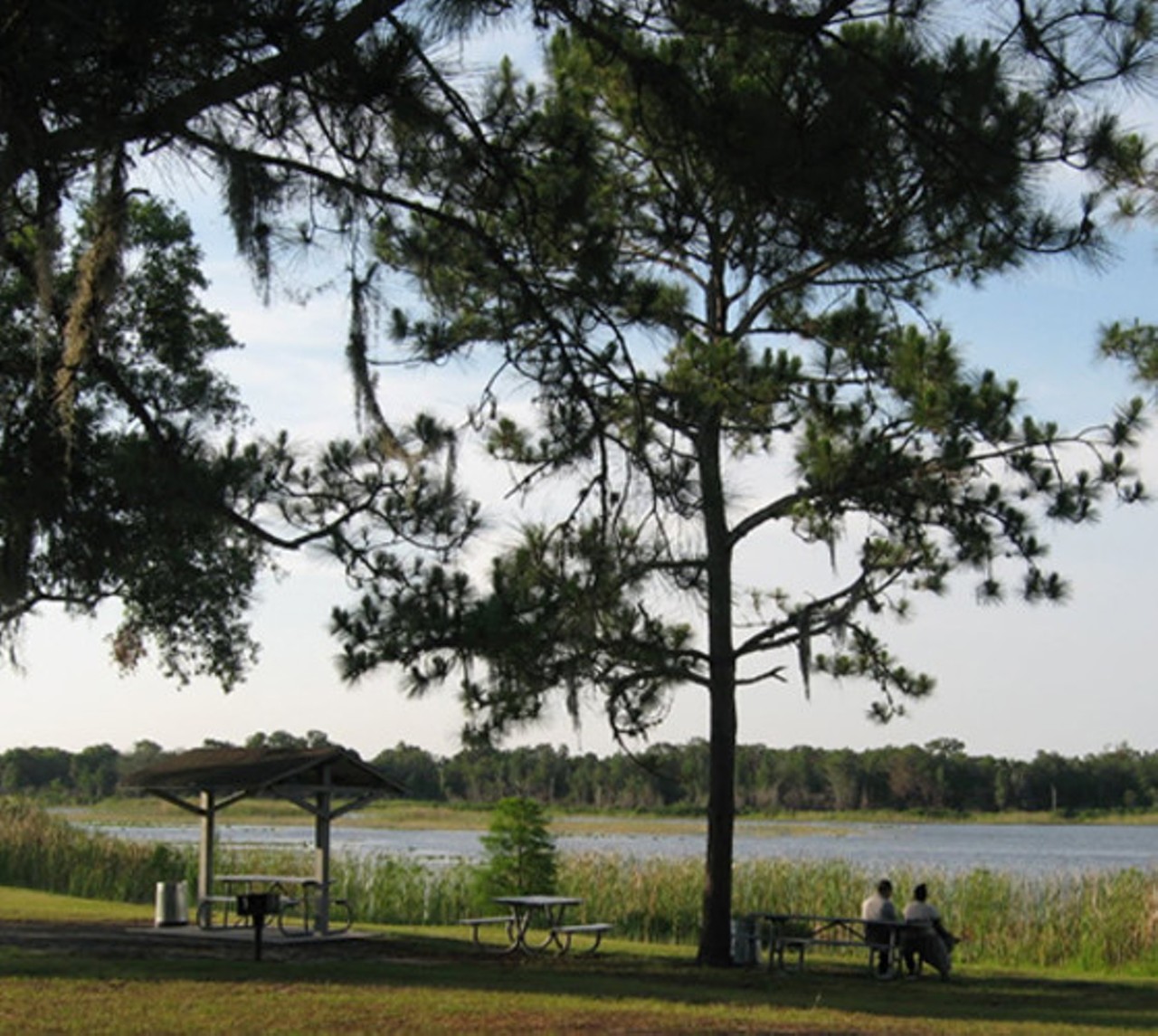 Lake Conservation Park 
17302 N Dale Mabry Highway, Lutz
There are five lakes at this park, as well as cypress swamps, pine flatwoods and hardwood hammocks. The park&#146;s trail is 3.2-miles long. Lake Conservation Park is open from 8 a.m. to 6 p.m. and admission costs $2 per vehicle.
Photo via VisitTampaBay.com/a>