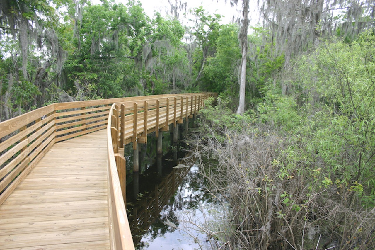Lettuce Lake 
6920 E. Fletcher Ave., Tampa
The Limkin Loop trail in Lettuce Lake is more than 1.5 miles long and it includes a 3,500-foot boardwalk. The ability to walk through the forest trail costs $2 per vehicle. 
Photo via Hillsborough County/Website