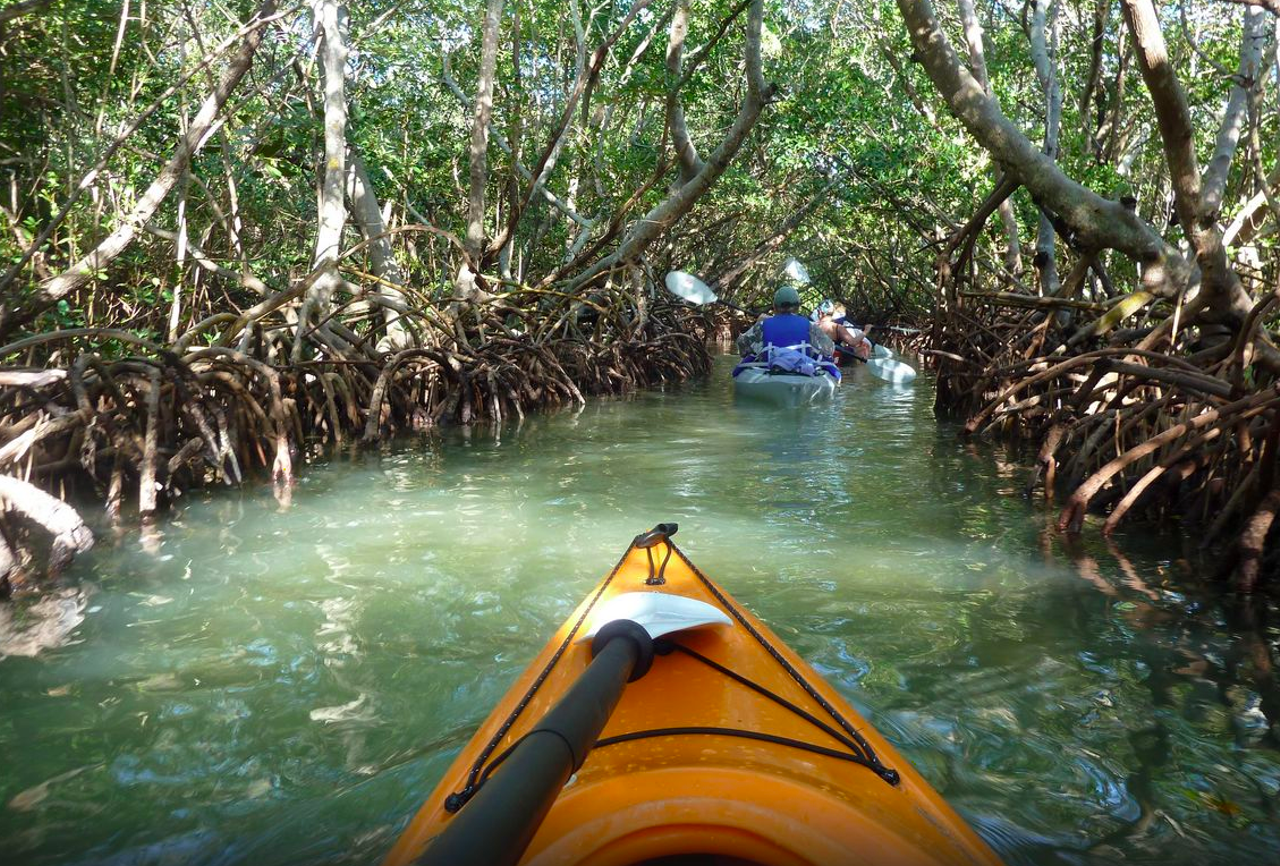 Lido Key 
Lido Key Mangrove Trail is a paddling trail less than 2 hours long through the waterways of the Sarasota Bay. Manatee, dolphin and aquatic bird sightings are common throughout the mangrove pathways. The area&#146;s launching site can be found at Ted Sperling Park, located on the southern end of Lido Key, minutes away from the Lido public beach. 
Photo via Ted Sperling Park Website