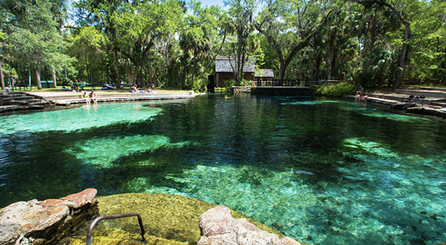  Juniper Springs Recreation Area 
    Estimated drive time from Tampa: 2 hours and 20 minutes 
    Juniper Springs is home to hundreds of bubbling springs, making its water crystal clear and perfect for a dip on a hot day. Located near Ocala, the site offers spots to swim, hike, camp, picnic, kayak and more. Surrounded by a dense canopy of live oaks, the shade at Juniper Springs makes it worth the trip on its own. Parking is free with the purchase of tickets, which are $8 on weekdays and $11 on weekends. 
   Photos via fs.usda.gov