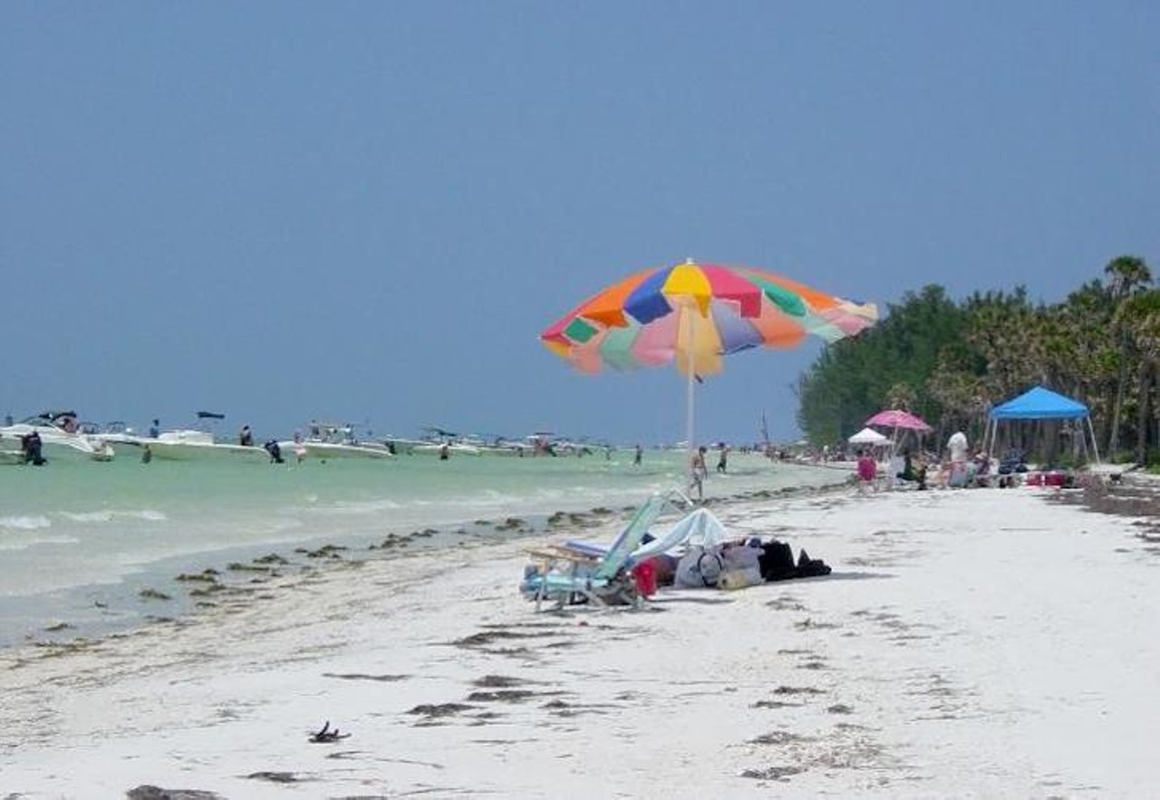 Go camping on a beach near Tampa Bay 
Within driving  distance of Tampa Bay Click here for more info  
Tampa Bay and its surrounding area has many places where campers can set up by the beach. Click the link above for a comprehensive list of such camping spots. 
Photo via State Park Website