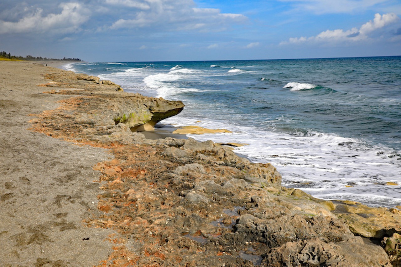 Blowing Rocks Preserve
574 South Beach Road, Hobe Sound | 561-744-6668 
Get the camera ready for some epic wave pictures, brah. During high tide the water will trickle under the massive rock formations causing waves to spurt up wherever there are holes. It&#146;s like Florida&#146;s very own Old Faithful. 
Photo via Adobe Images