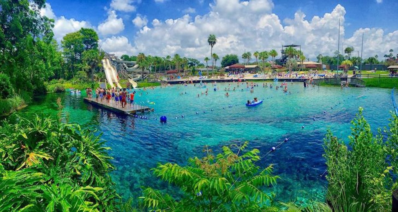 Weeki Wachee Springs State Park
6131 Commercial Way, Spring Hill | 352-592-5656
Famous for its enchanting mermaid show, these springs have brought many visitors over the years wanting to see the unique performance. Tubes, canoes and more outdoor activity rental equipments are available onsite.
Photo via Weeki Wachee Springs/Facebook