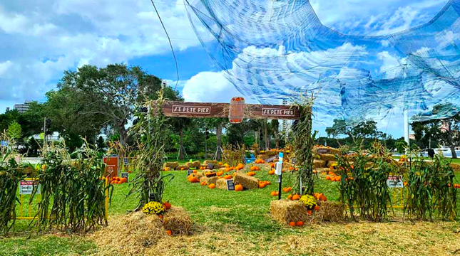 St. Pete Pier Pumpkin Patch
    600 2nd Ave. NE, St. Petersburg
    Select days October 9-17
    Visit the pier for one of the largest pumpkin patches in the area, complete with thousands of pumpkins, hay bales, photo booth, fall refreshments and more!
    Photo via St. Pete Pier/Website