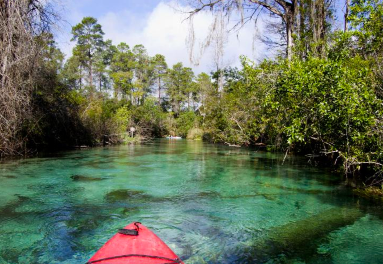 Swim the waters of Weeki Wachee Springs State Park
6131 Commercial Way, Weeki Wachee, 352-592-5656, Click here for more info  
You can visit one of Florida&#146;s oldest roadside attractions at Weeki Wachee Springs State Park. Swim in the freshwater cave system or relax on land to do some wildlife watching.
Photo via Florida State Parks/Website