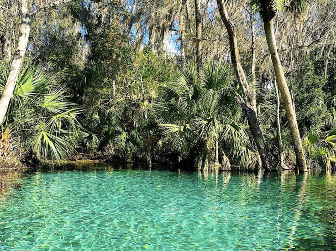 Rainbow Springs State Park
Estimated drive from Tampa: 45 minutes
The crisp cerulean water here has been in use for close to 10,000 years, according to archeological studies. You can swim, snorkel and kayak your way to leisure in this spring, which is Florida&#146;s fourth largest.
Photo via Florida State Parks/Facebook
