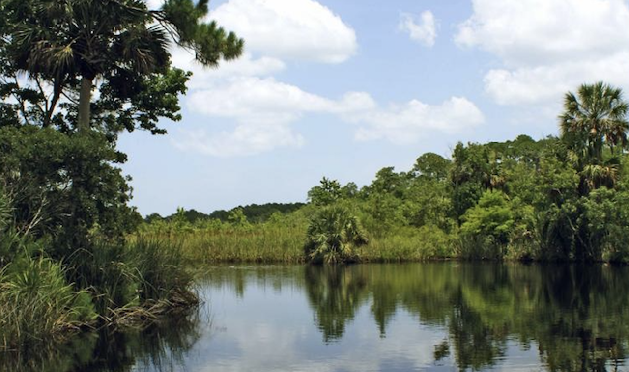 Faver-Dykes State Park
Estimated drive from Tampa: 3 hours and 30 minutes
Both primitive and RV camping are available at this spot known for its tranquility. It has four hiking nature trails of varying length with tons of wildlife for campers to check out.
Photo via Floridastateparks.org