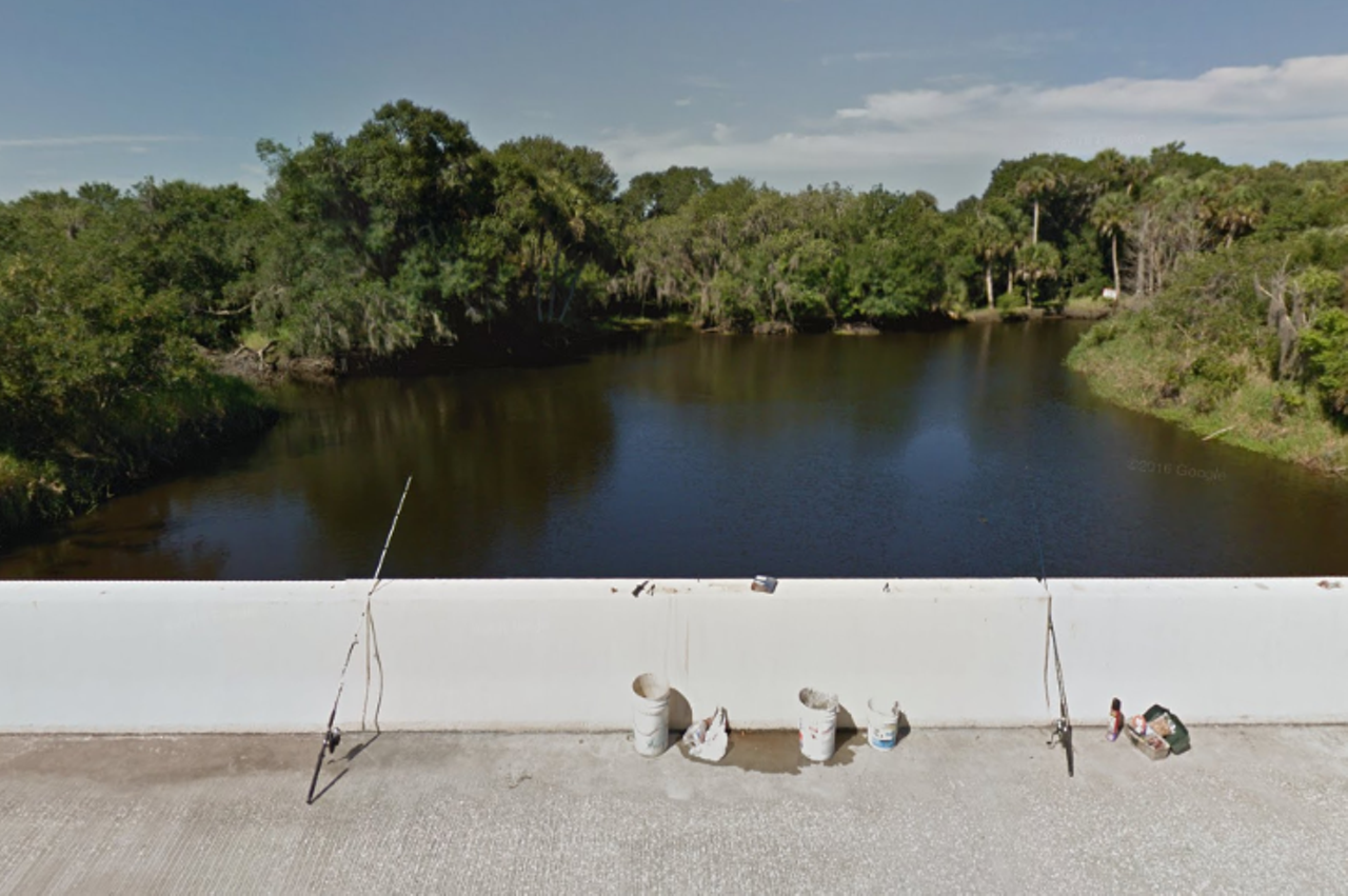 State Road 72 in Myakka River State Park
If you miss exploring the local state parks, you could try driving through Myakka River State Park. State Road 72 in Sarasota brings visitors through over 11 miles of the park with bits of Myakka River visible along the way.
Photo via Google Maps