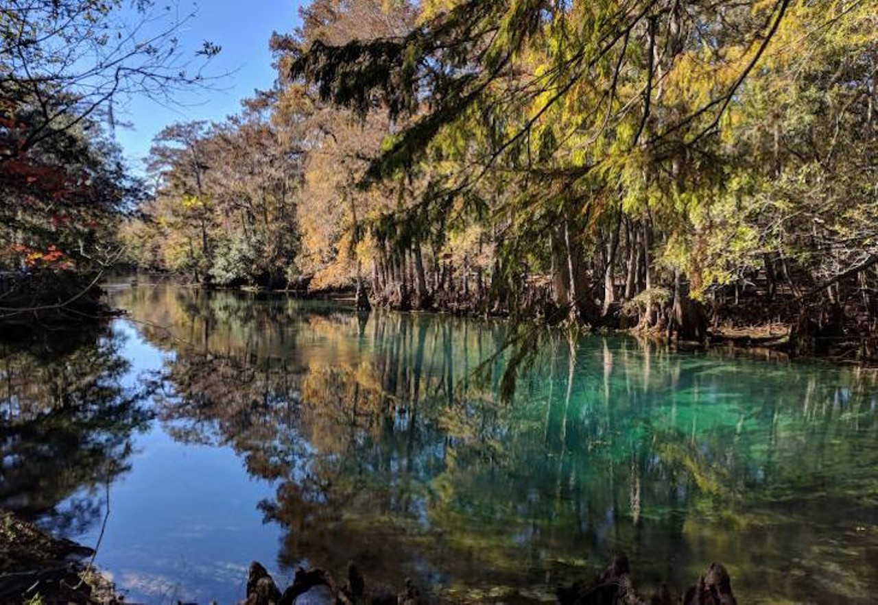 Manatee Springs
11650 NW 115 Street Chiefland, (352) 493-6072, starting at $20 per night
True to its namesake, on top of the usual springs activities and hiking trails Manatee Springs is also an ideal location for spotting manatees in the winter months. The park features 80 campsites, each with their own hot shower restroom, electricity, water and a short walk from the springs.   
Photo via Manatee Springs State Park