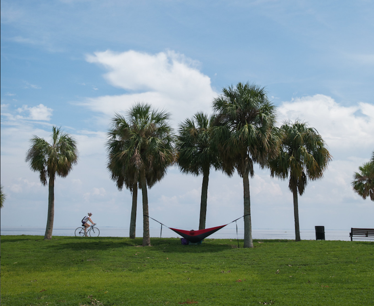 Visit Vinoy and then walk down Beach Drive
701 Bayshore Dr NE, St. Petersburg, (727) 893-7441, Click here for more info  
Start with coffee at Black Crow&#146;s Old Northeast location, 722 2nd St. N, St. Petersburg, and work your way down to the water at Vinoy Park for the sunset. (Yes, the sun rises facing this park, but the sunset is beautiful too.) After dark, walk over to Beach Drive (Parking is free at Vinoy) for drinks, food, and a look at all the art in the storefronts. Make sure to stop by Kilwins for an ice cream cone or chunk of house-made fudge.
Photo via CityofStPete Flickr