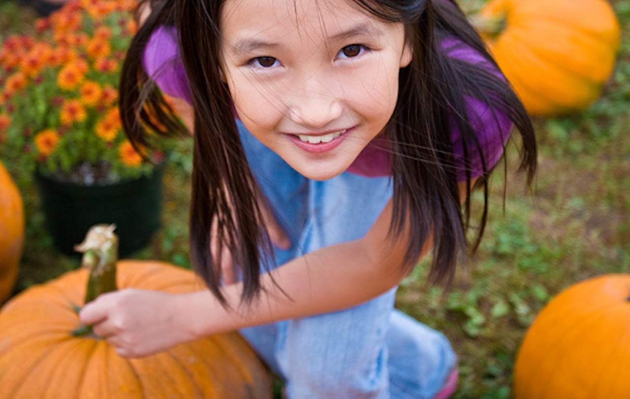 Hyde Park Village Pumpkin Patch
1509 W, Swann Ave. Suite 225, Tampa, FL
Dates: October 10 &#150; October 31
This Fall, Hyde Park is hosting a pumpkin patch that the kids will love to stroll through. Open weekdays from 12 p.m. to 8 p.m., and weekends 9 a.m. to 9 p.m. A portion of the proceeds will benefit the Humane Society of Tampa Bay. Did we mention the crazy amount of orange pumpkins to choose from?
Photo via hydeparkvillage.com