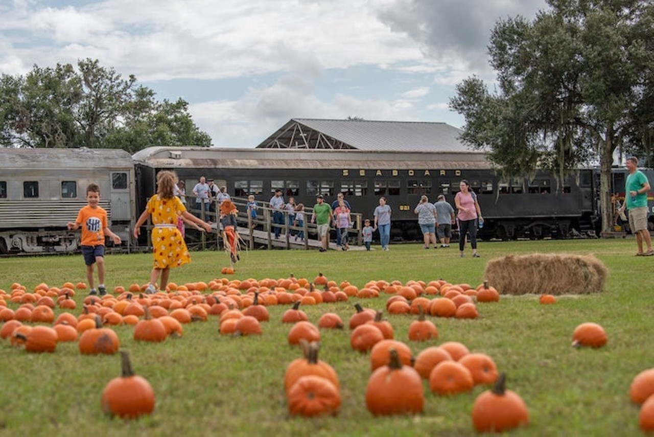 Florida Railroad Museum Pumpkin Patch Express
12210 83rd St E Parrish
Dates: October 16-17, 23-24
Hop aboard the Pumpkin Patch Express and make your way to Florida Railroad Museum's patch of pumpkins, where kiddos get to pick a pumpkin to take home. Other activities include hay rides, a haunted house, and Halloween crafts. Tickets start at $19 for adults, $15 for ages 1 to 11, and kiddos under 1 get in for free.