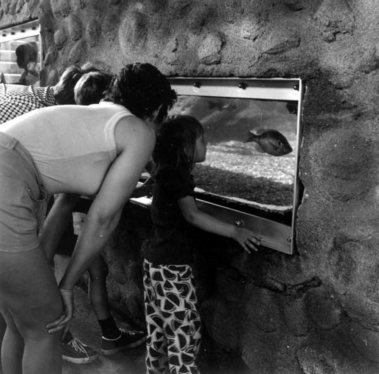 Tourists viewing aquarium at Busch Gardens. 1975.