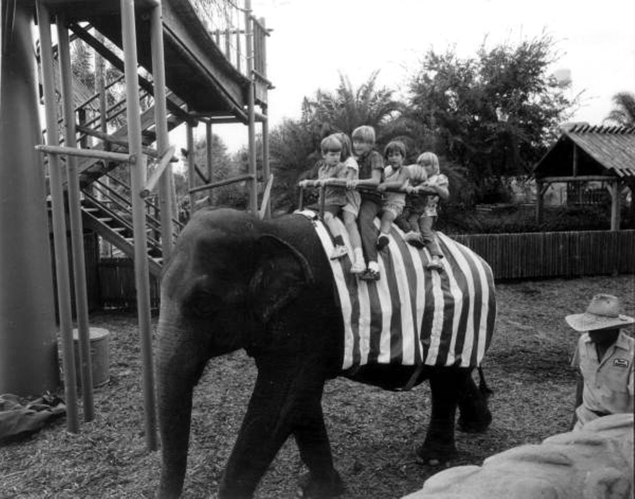Children on an elephant ride at Busch Gardens. 1973.