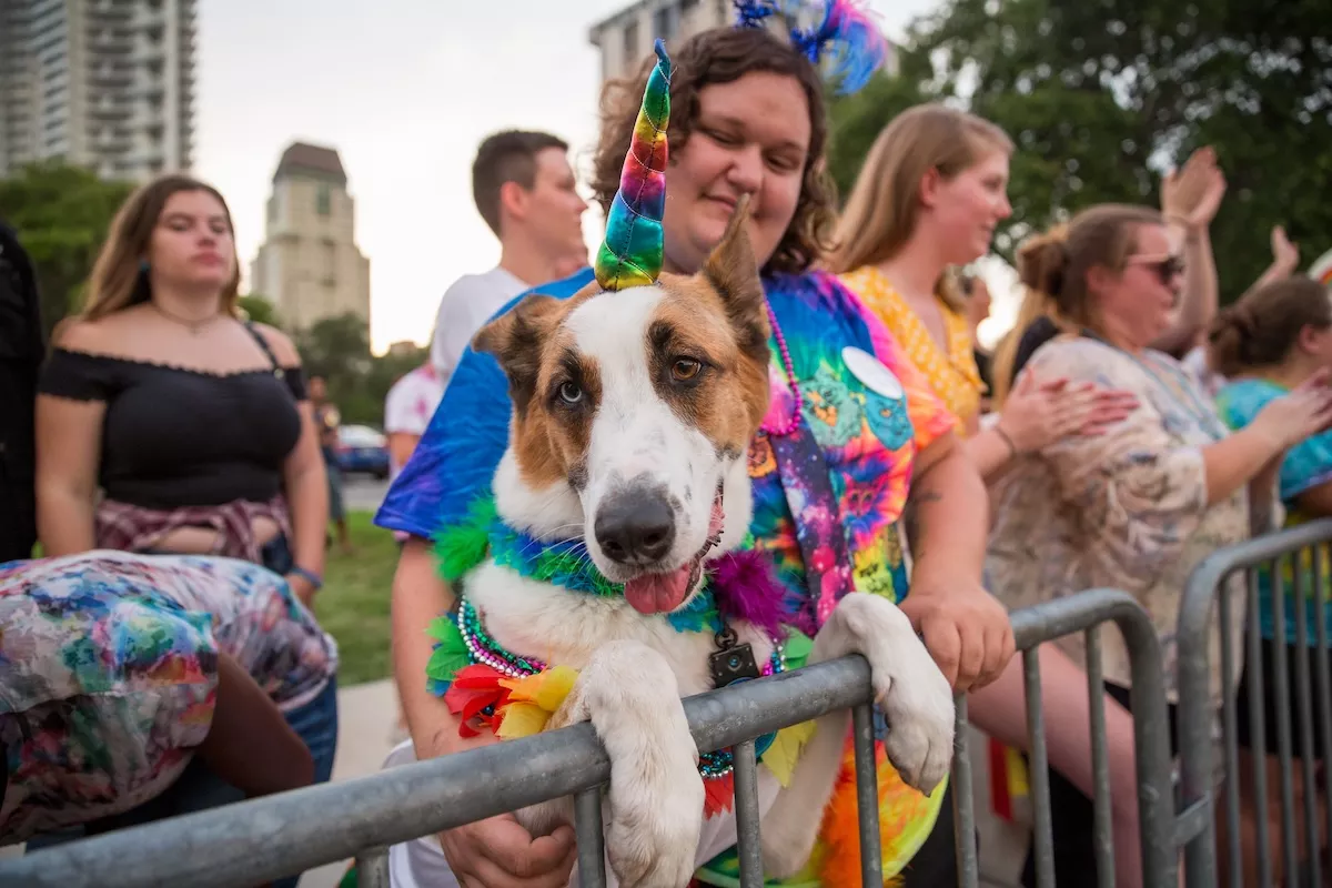 2018 St. Petersburg Pride Parade