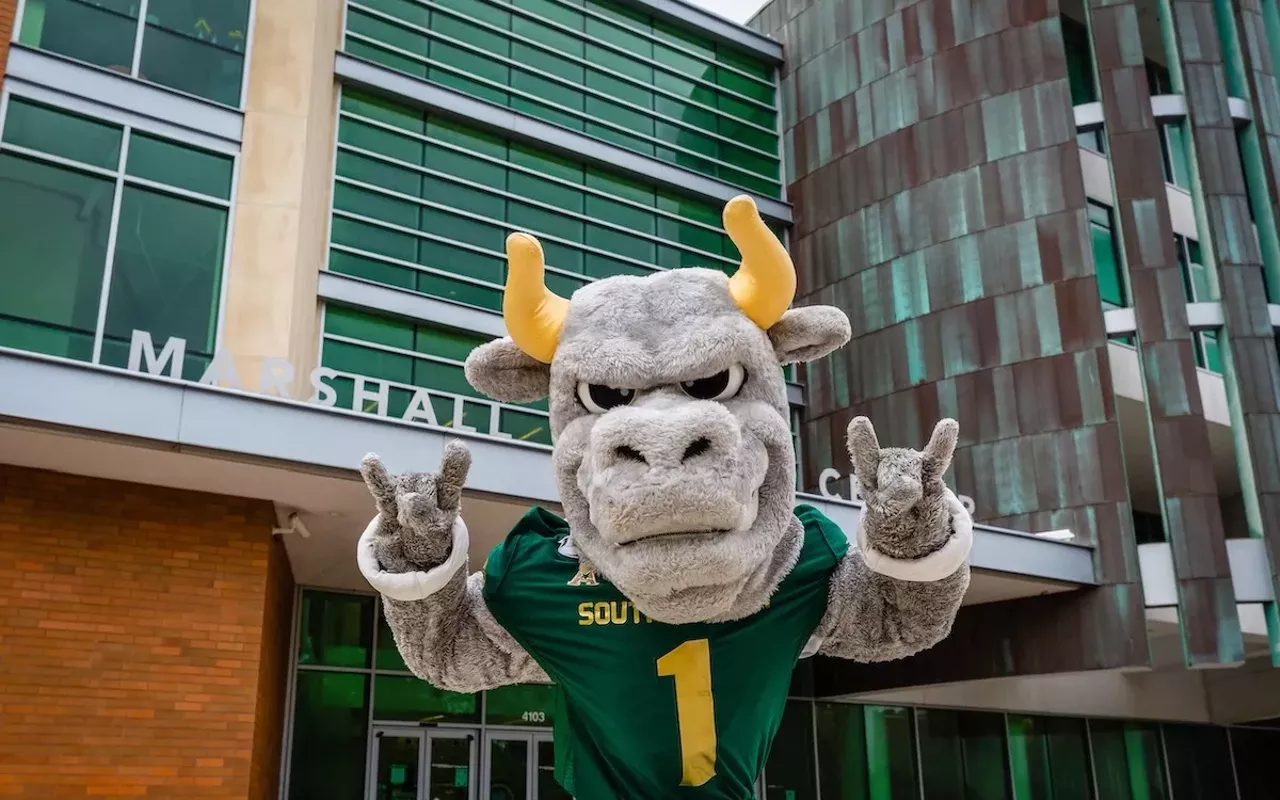 Rocky the Bull