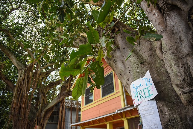 Neighborhood-made signs adorn the Bayan tree.