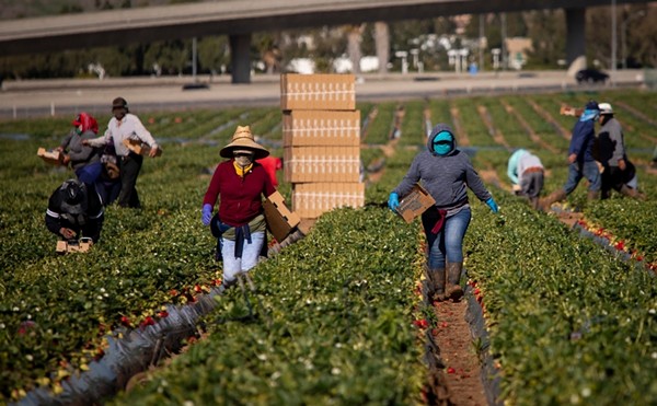 Amid labor shortage, DeSantis vetoes agriculture housing bill over fears it might help 'illegal alien workers'