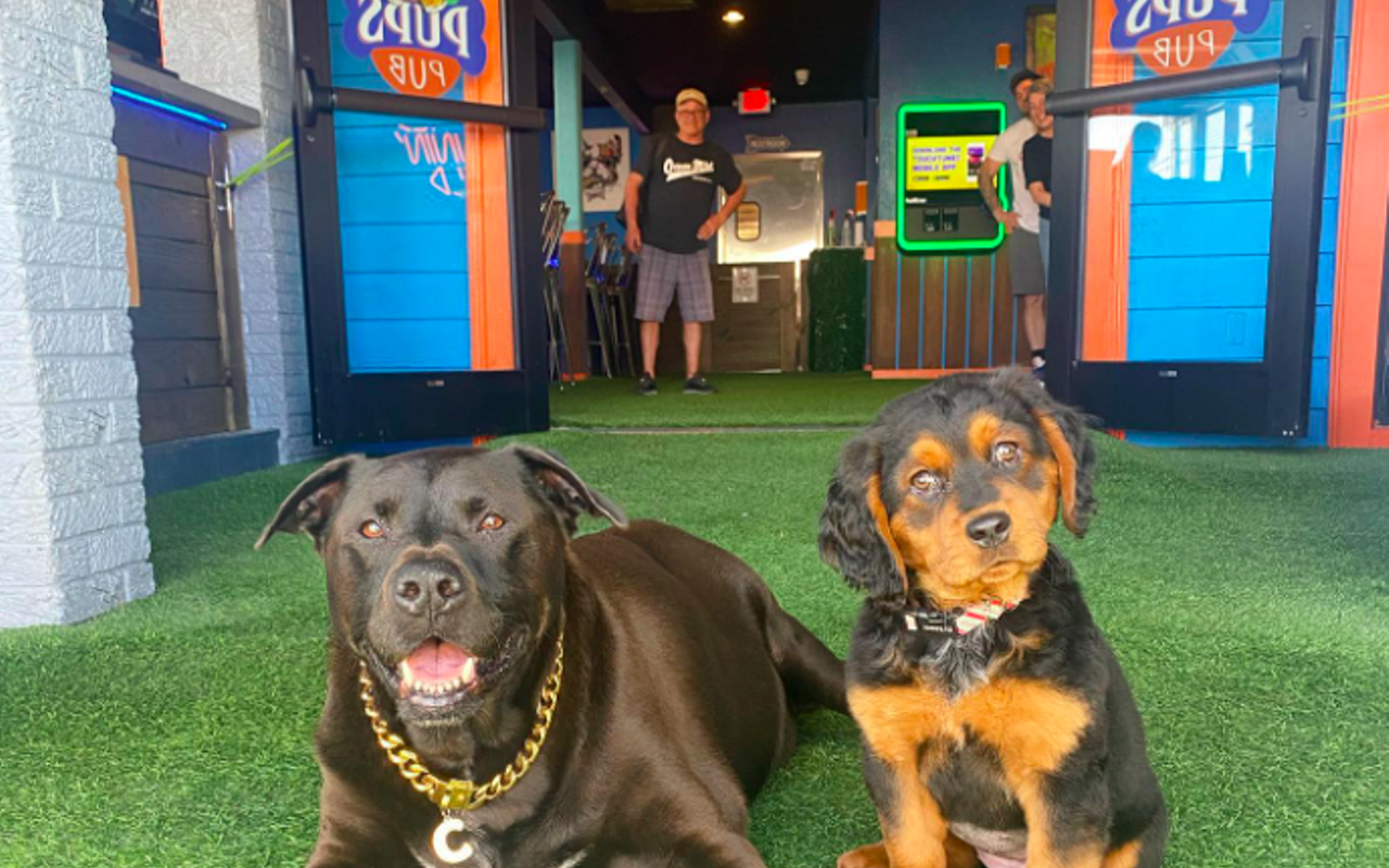 Appeals court sets date for arguments in case of Tampa and Orlando dog bars