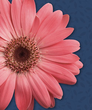 Image: ART IN BLOOM 2023