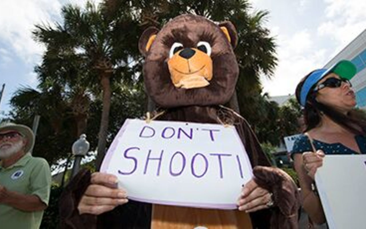 Bear hunt protest draws dozens in St. Pete