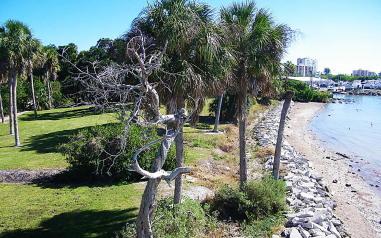 SCENIC OUTLOOK: "There aren't a lot of disc golf courses that have waterfront," said a member of the Tocobaga club.