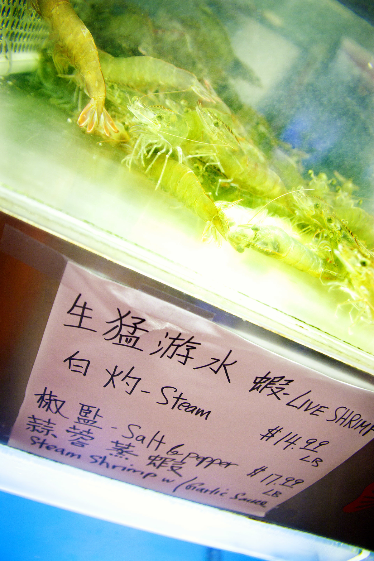 Image: Best aquarium where you eat the fish