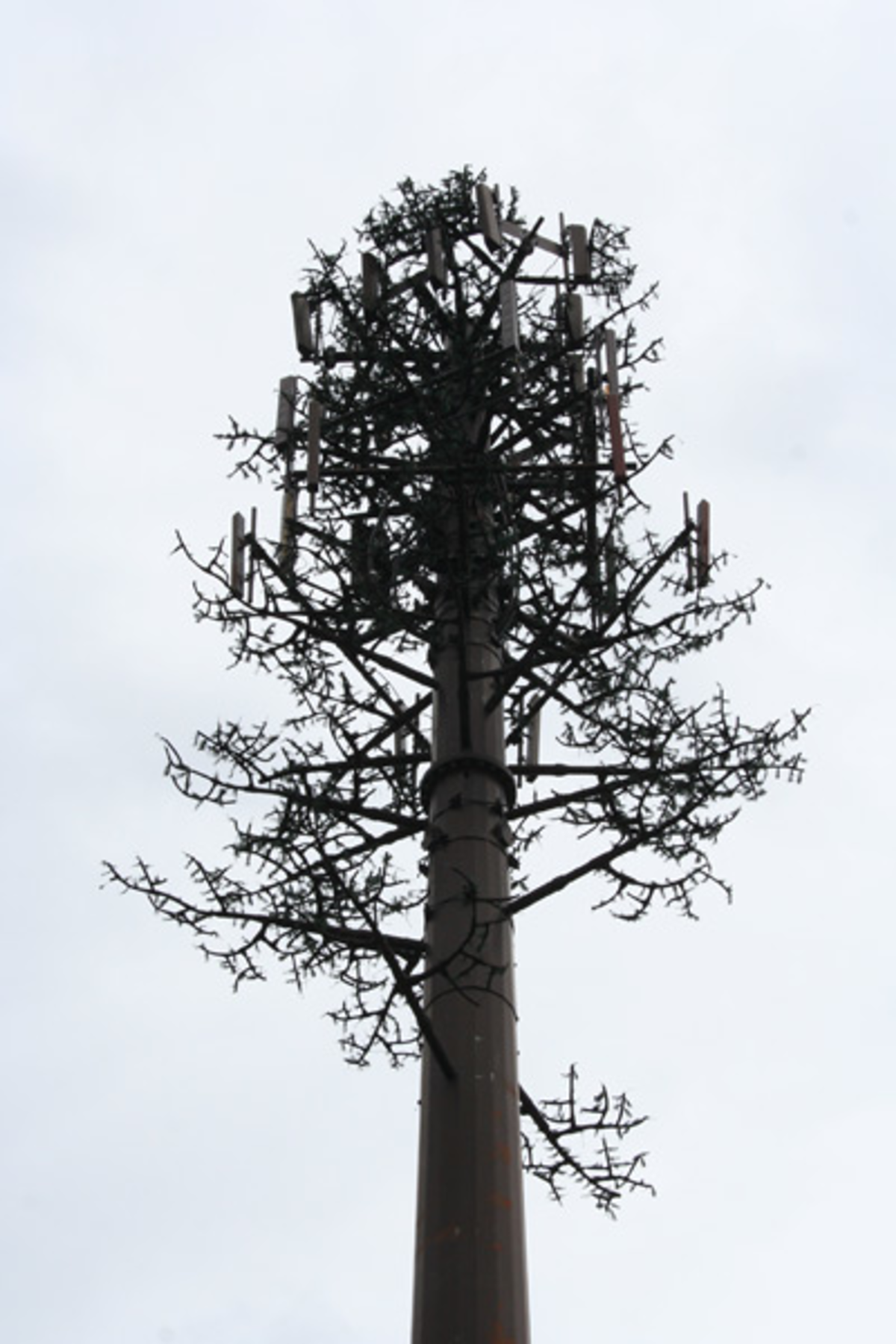 BEST CHEESY URBAN CAMOUFLAGE: That gussied-up cell-phone tower