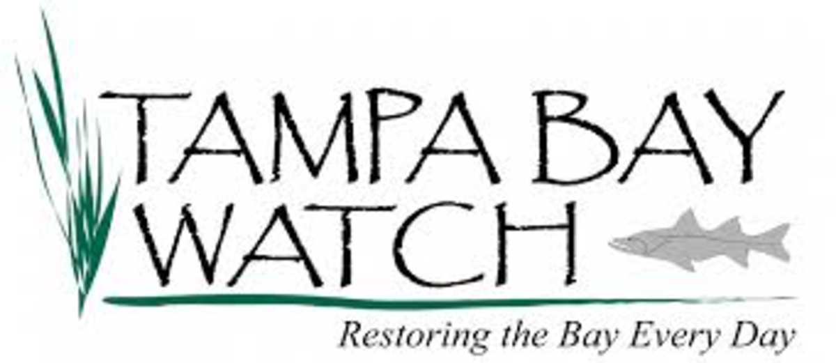 Image: Best environmental organization