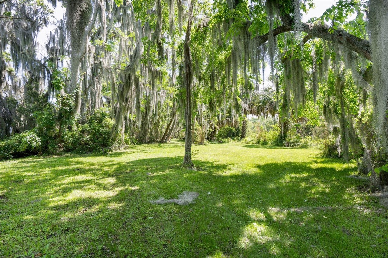 Bird Island, a 50-acre off-the-grid island in Central Florida, slashes asking price by nearly $5 million