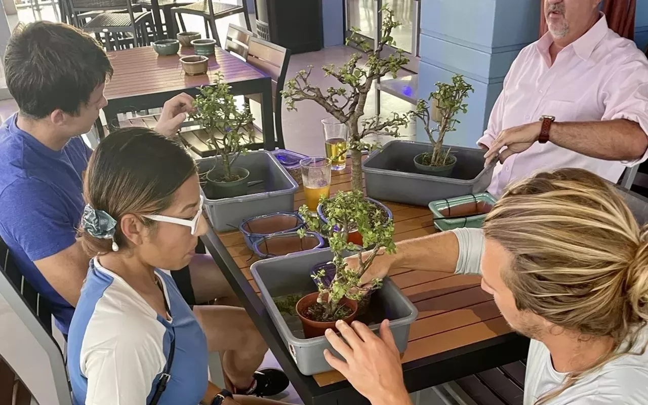 Image: Bonsai and Brews at 3 Daughters Brewing | St. Pete