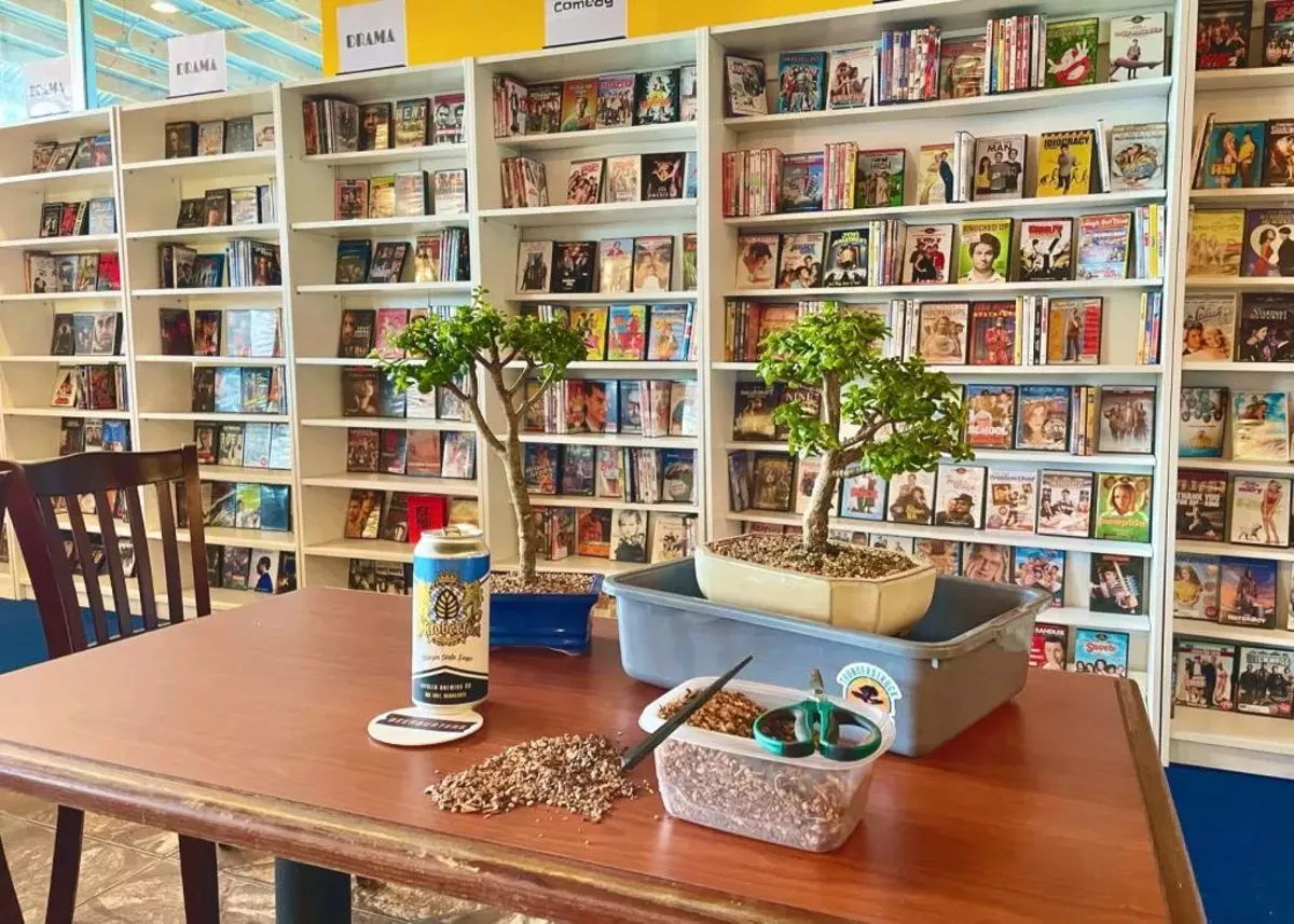 Bonsai and Brews at Beerbusters Movie Bar