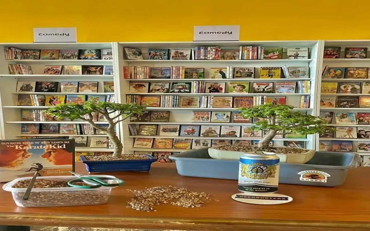 Image: Bonsai and Brews at Beerbusters Movie Bar
