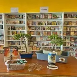 Image: Bonsai and Brews at Beerbusters Movie Bar