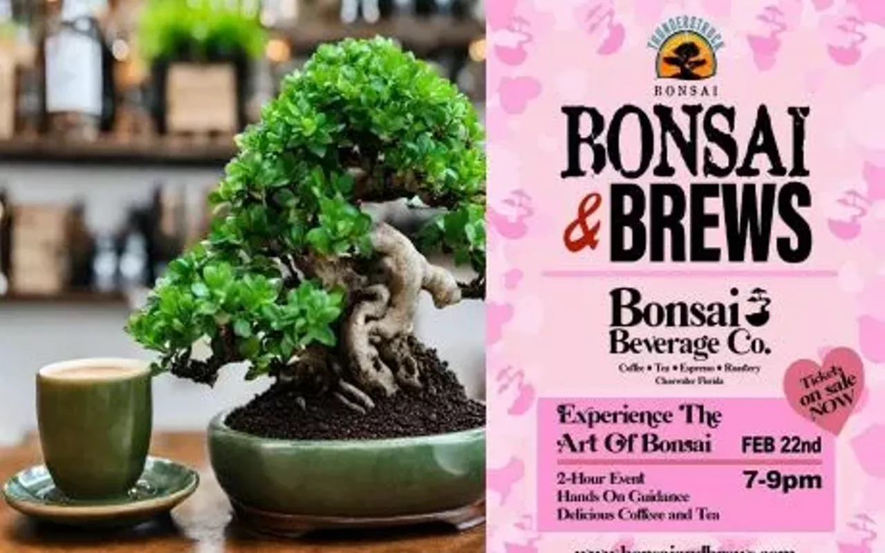 Image: Bonsai and Brews at Bonsai Beverage Co.
