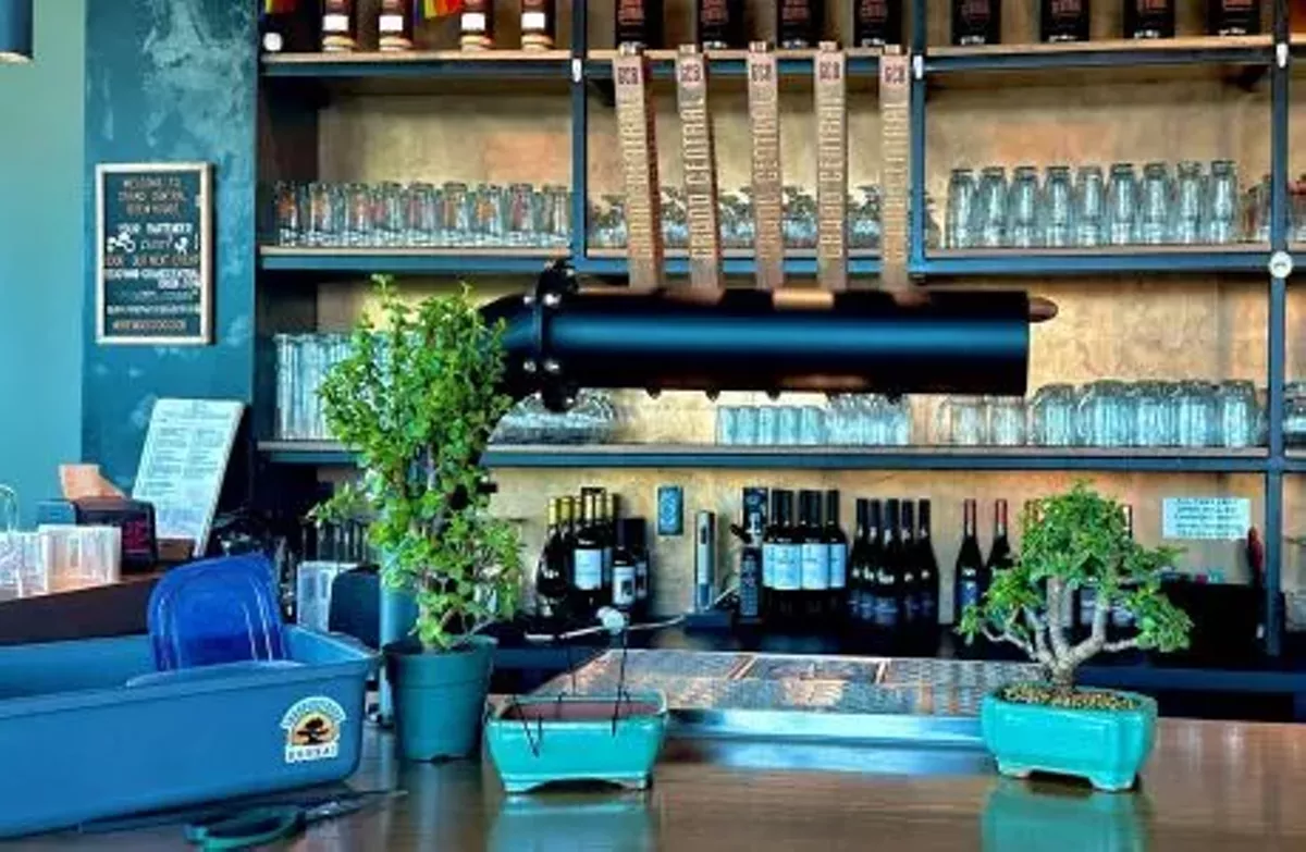 Bonsai and Brews at Grand Central Brewhouse | St Petersburg