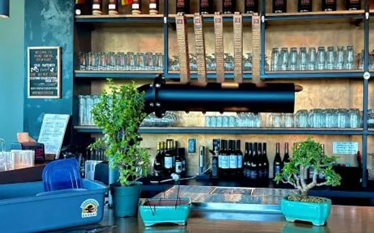 Image: Bonsai and Brews at Grand Central Brewhouse | St Petersburg On 26 June 2025