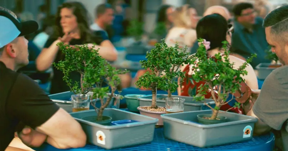 Bonsai and Brews at The Brass Tap | Lutz Sun Lake