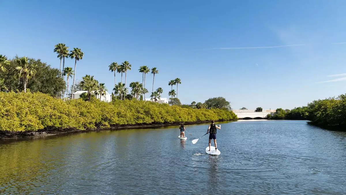 padl_experience_grand_hyatt_tampa_bay.webp