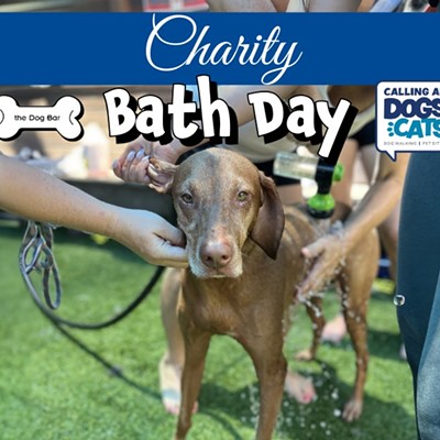 Charity Bath Day at The Dog Bar