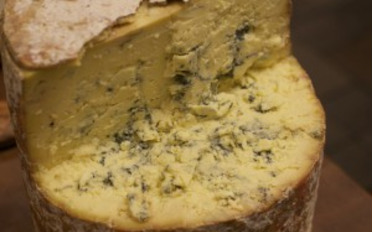 Cheese secrets you mite not want to know: The crawly critters that influence cheese