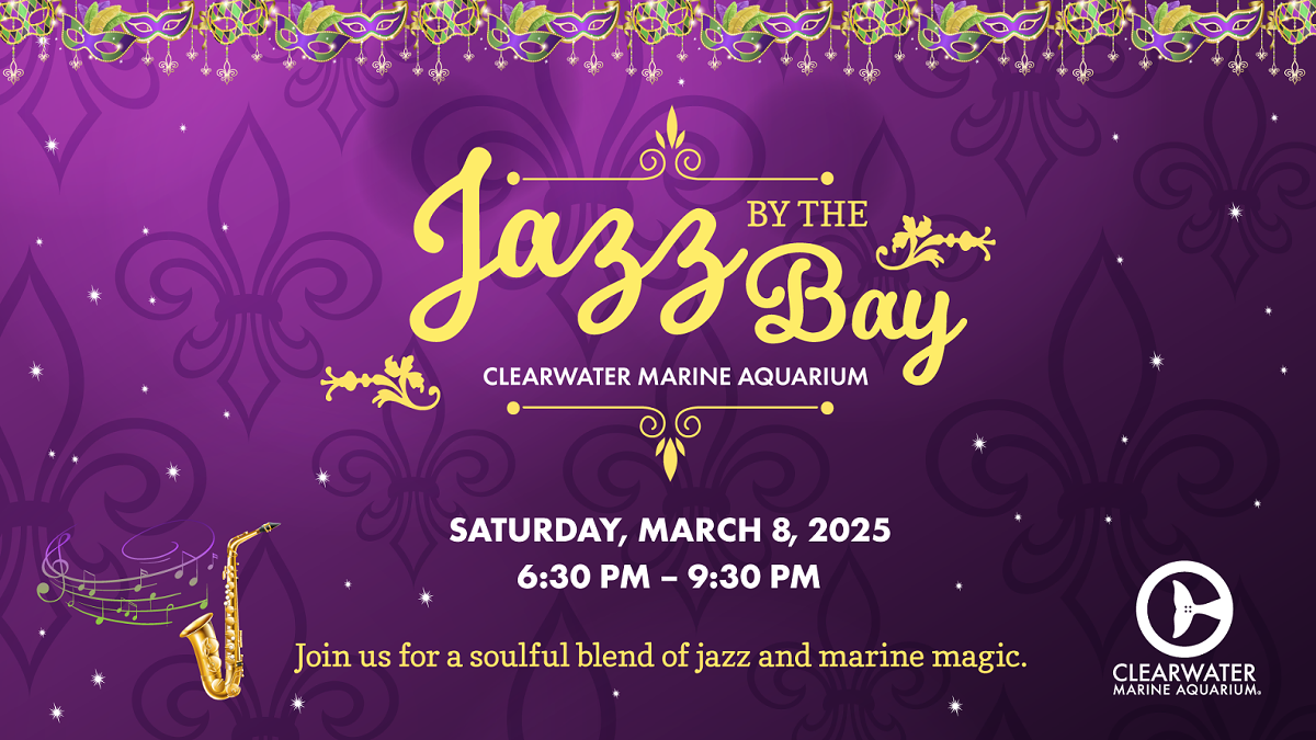 mardi-gras-bgrd-1920x108-2025-1536x864.png