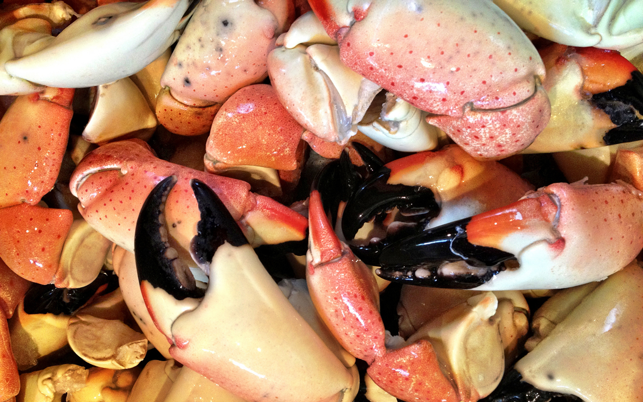 Starting Oct. 20, come get your fill of fresh Florida stone crab.