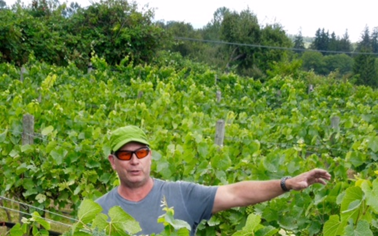 Vista D'oro winemaker Patrick Murphy in his Fraser Valley, British Columbia, vineyards.