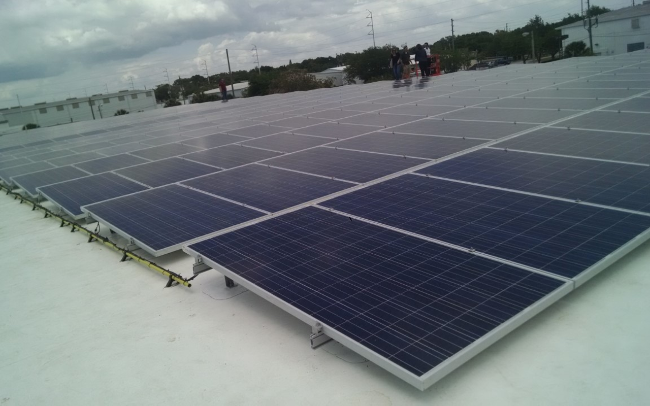 Solar panels on top of the roof at design/architecture firm MESH in Lealman.