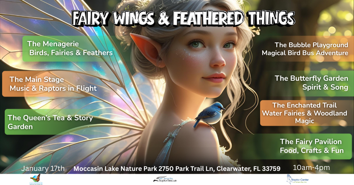 Fairy Wings & Feathered things Outdoor Family Evcent