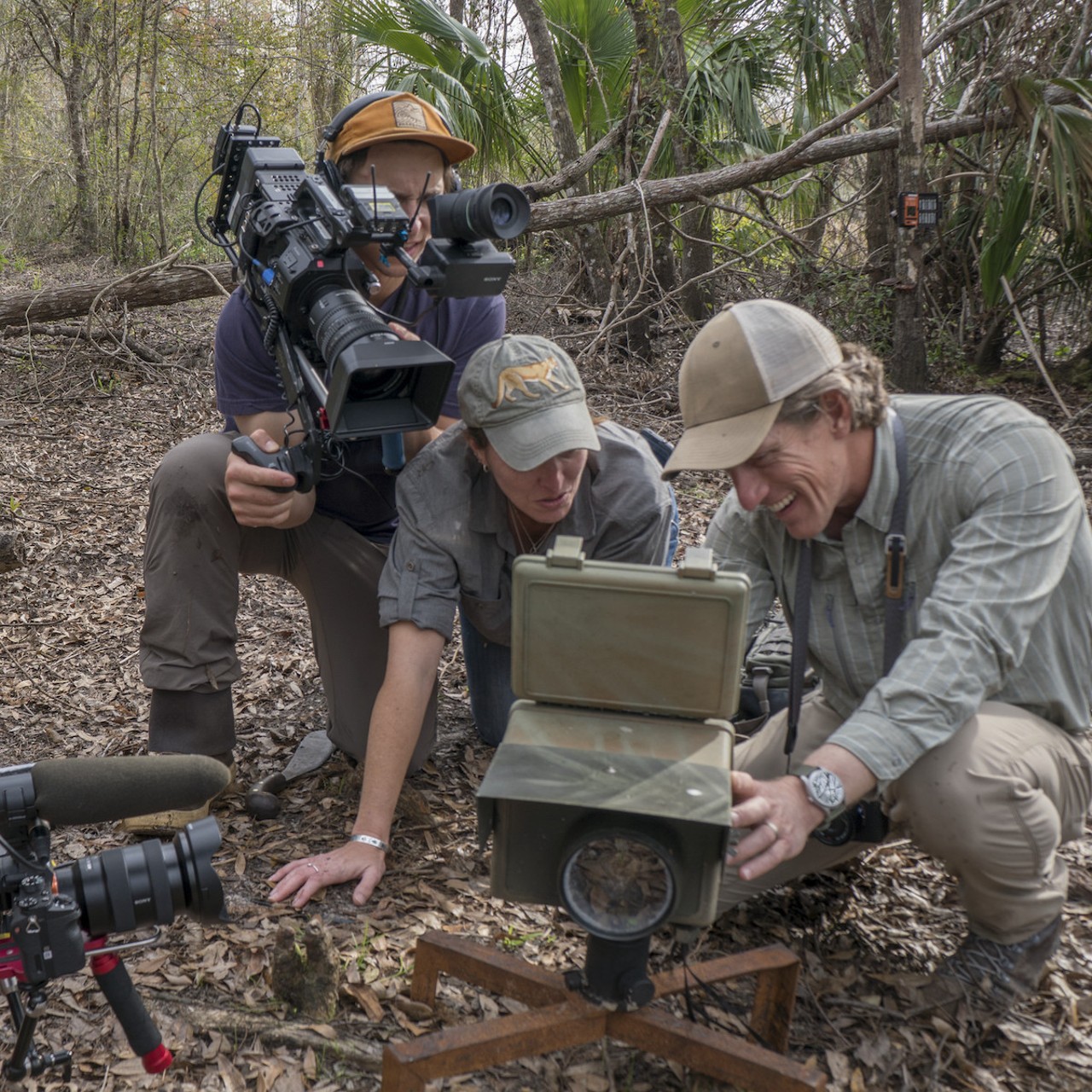 Carlton Ward Jr. and Dr. Jen Korn discover the first photos of panther kittens North of the Caloosahatchee River in nearly fifty years as cinematographers Danny Schmidt and Eric Bendick capture the moment. Moments like this one left an indelible mark on the teams from Grizzly Creek Films and Wildpath who dedicated over five years to the making of Path of the Panther.