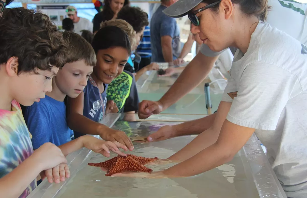 myfwc_fish_and_wildlife_research_institute.webp