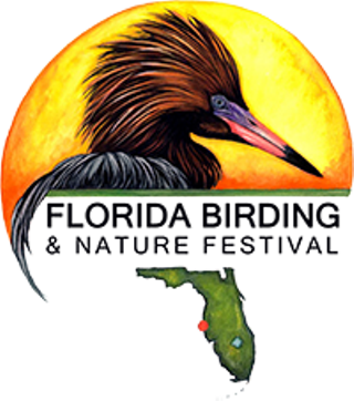 Image: Florida birding & nature festival